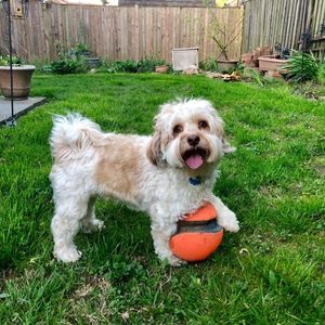 Meet your Posher, Donovan